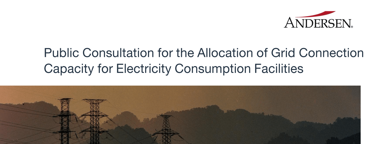 Public Consultation for the Allocation of Grid Connection Capacity for Electricity Consumption Facilities